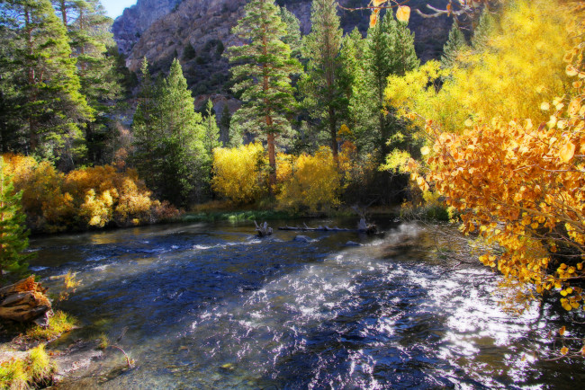 Обои картинки фото природа, реки, озера, вода, свет, осень, деревья