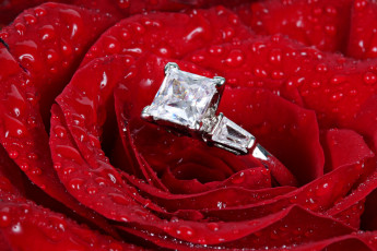 Картинка разное украшения аксессуары веера кольцо роза