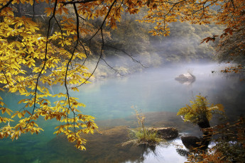 Картинка природа реки озера туман река осень листва лес