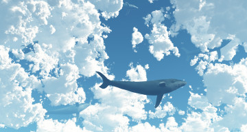 Картинка разное компьютерный+дизайн киты облака