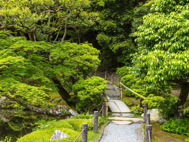 Обои картинки фото природа, парк, пруд, деревья, сад, кусты, мостик, японский
