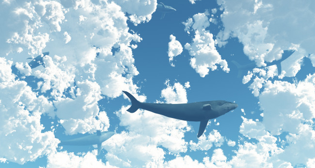 Обои картинки фото разное, компьютерный дизайн, киты, облака