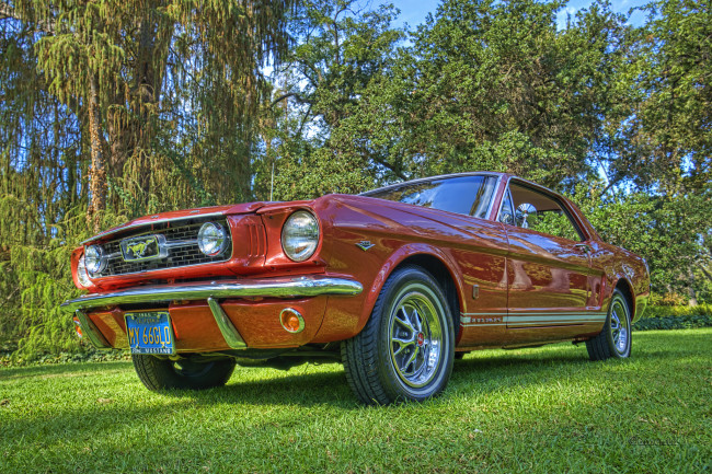 Обои картинки фото mustang, автомобили, автошоу, выставка