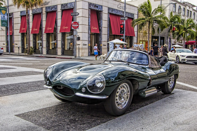 Обои картинки фото 1956 jaguar xkss, автомобили, выставки и уличные фото, автошоу, выставка