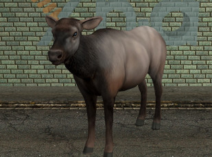 Картинка 3д+графика животные+ animals корова