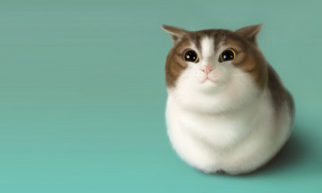 Картинка рисованное животные +коты аниме кошка детская настроение арт неко рисунок
