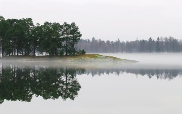 Картинка природа реки озера река деревья туман