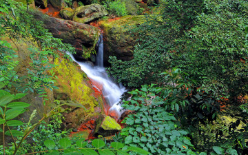 Картинка природа водопады камни ручей лес