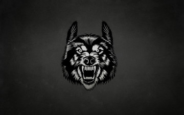 Картинка рисованное минимализм волк морда wolf темный фон