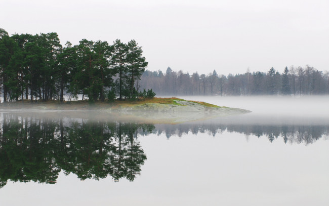 Обои картинки фото природа, реки, озера, река, деревья, туман