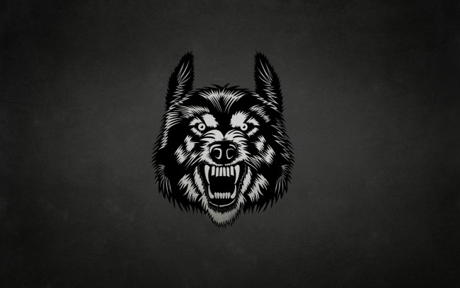 Обои картинки фото рисованное, минимализм, волк, морда, wolf, темный, фон