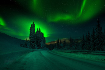 Картинка природа северное+сияние зима дороги северное сияние деревья снег ночь небо adnan bubalo