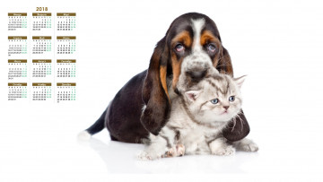 обоя календари, животные, собака, белый, фон, кошка
