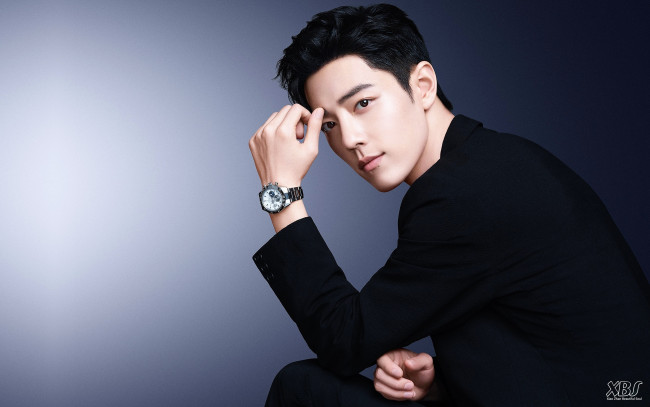 Обои картинки фото мужчины, xiao zhan, актер, пиджак, часы