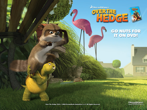 Обои картинки фото мультфильмы, over, the, hedge