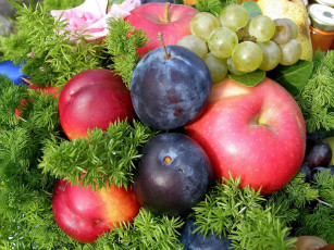 Картинка еда фрукты ягоды виноград яблоки сливы