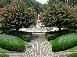Картинка природа парк клумбы цветущие деревья фонтан
