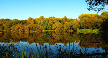 Картинка природа реки озера деревья вода отражение
