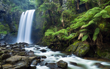 Картинка природа водопады лес река камни деревья джунгли