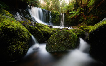 Картинка природа водопады мох камни лес