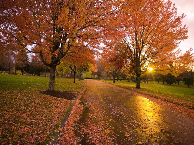 Обои картинки фото природа, дороги, вода, деревья, осень