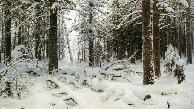 Обои картинки фото рисованные, иван, шишкин, зима, снег, лес, ели