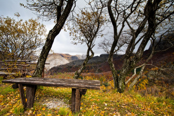 Картинка природа пейзажи осень деревья горы скамейка листва
