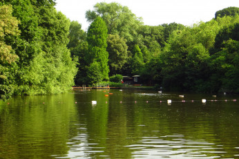 Картинка лондонский парк хэмпстед хит природа лондон пруд деревья
