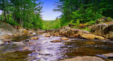 Картинка природа реки озера камни лес река
