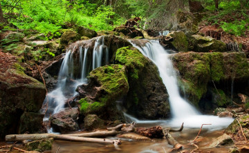 Картинка природа водопады камни мох река водопад бревна лес