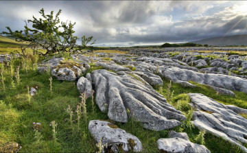 Картинка природа камни минералы деревья трава равнина