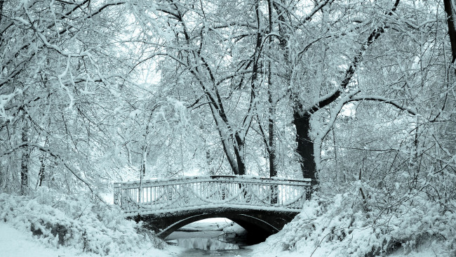 Обои картинки фото природа, зима, парк, виадук, река, деревья, снег