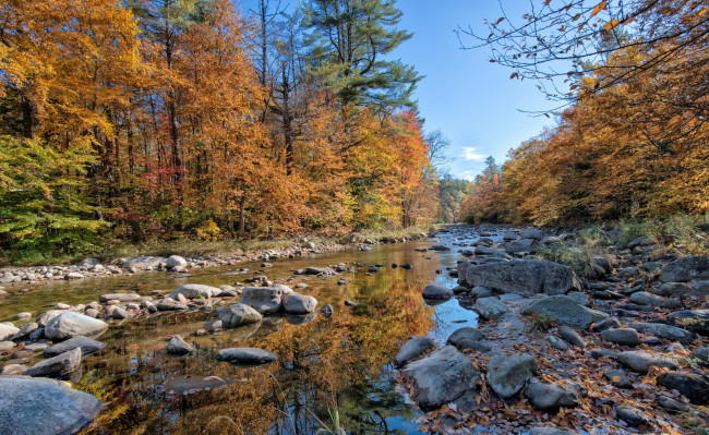 Обои картинки фото природа, радуга, камни, река, лес, осень