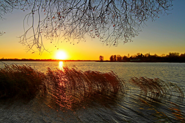 Обои картинки фото природа, восходы, закаты, Ярославль, река, которосль, закат, камыши