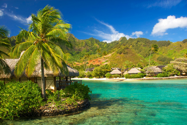 Обои картинки фото moorea, french, polynesia, природа, тропики, бунгало, море, горы