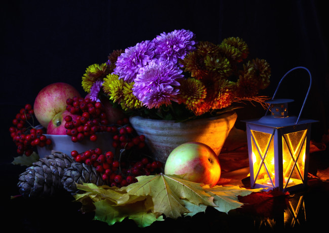 Обои картинки фото еда, натюрморт, шишки, рябина, яблоки, фонарь, хризантемы