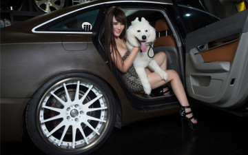Картинка автомобили -авто+с+девушками улыбка автомобиль собака девушка взгляд