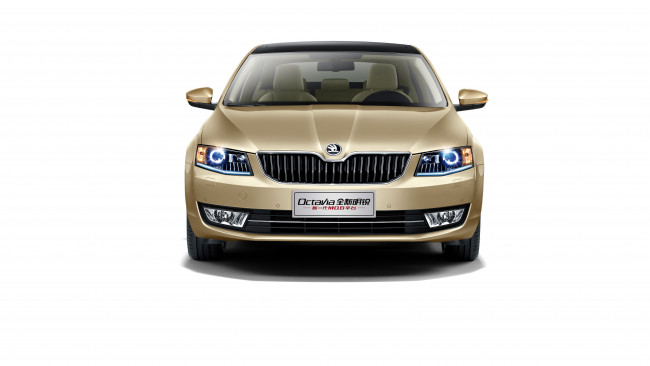 Обои картинки фото автомобили, skoda, 2014г, 5e, cn-spec, octavia