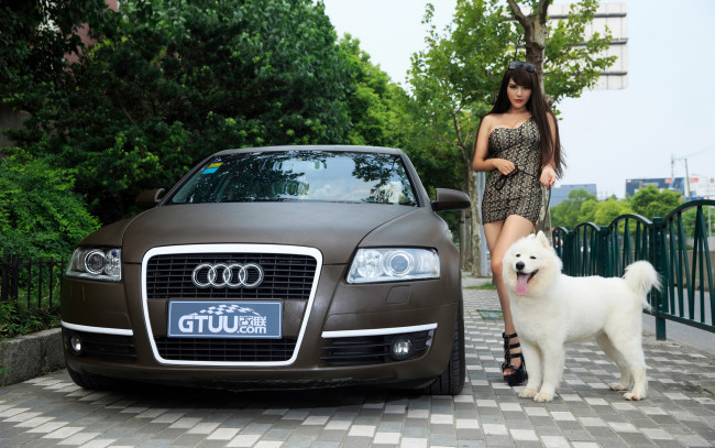 Обои картинки фото автомобили, -авто с девушками, автомобиль, собака, взгляд, девушка
