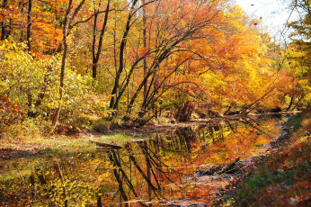 Картинка природа реки озера осень река лес