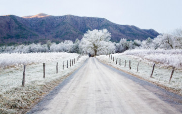 Картинка природа дороги деревья горы трава изгородь снег зима дорога