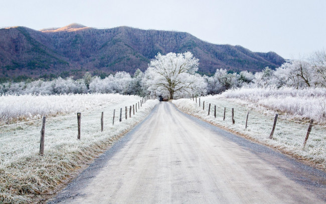Обои картинки фото природа, дороги, деревья, горы, трава, изгородь, снег, зима, дорога