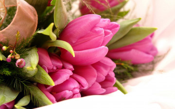 Картинка цветы букеты +композиции тюльпаны букет