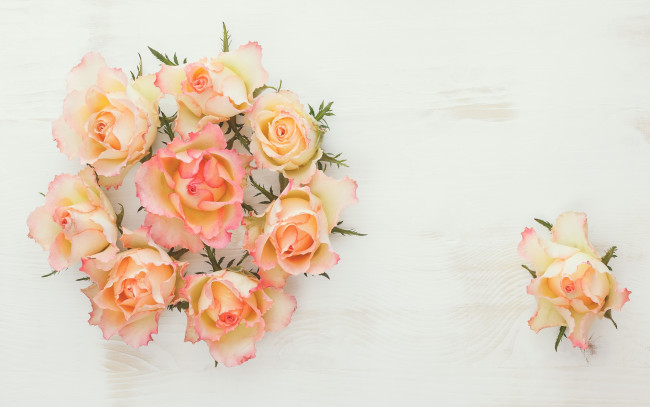 Обои картинки фото цветы, розы, roses, wood, flowers
