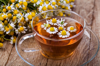 Картинка еда напитки +Чай цветки ромашка чай