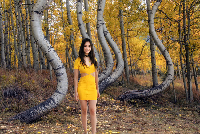 Обои картинки фото девушки, - брюнетки,  шатенки, деревья, брюнетка, желтое, платье, мини
