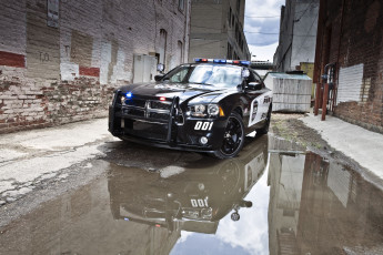 Картинка автомобили полиция лужа