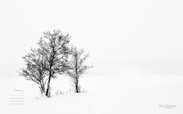 обоя календари, природа, снег, деревья