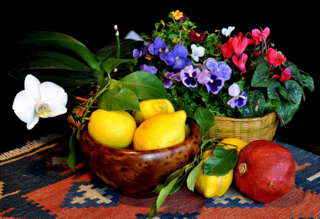Обои картинки фото еда, натюрморт, виола, орхидея, лимоны, гранат