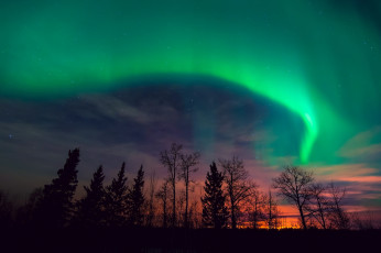 Картинка природа северное сияние ночь зима лес заря небо